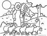 Coloring Pages Yahoo Getcolorings Hundred Sheep sketch template