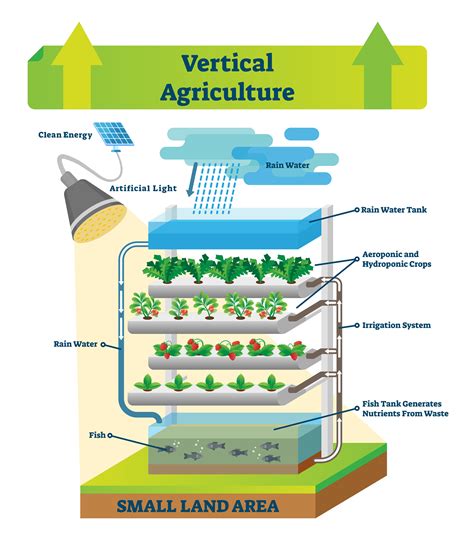 vertical farming takes food production  greater heights