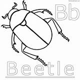 Coloring Beetle Pages Beetles Coloringbay sketch template