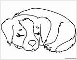 Puppy Pages Sleeping Coloring Color Online sketch template