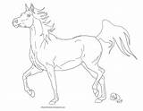 Arabian Kleurplaat Paard Fries Downloaden sketch template