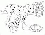 animal coloring pages  nicoles coloring pages