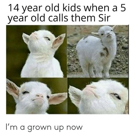 I’m A Grown Up Now Now Meme On Me Me