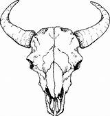 Skull Drawing Buffalo Drawings Skulls Clipart Sketch Bull Cow Longhorn Deer Tattoo Cattle Clip Line Tattoos Desert Animal Coloring Simple sketch template