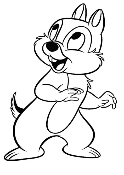 chipmunk coloring page  printable coloring pages  kids