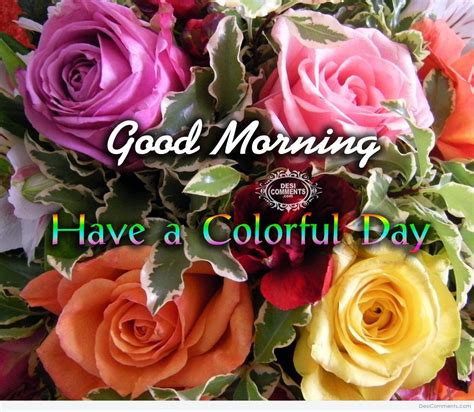 good morning have a colorful day