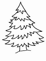 Evergreen Tree Outline Cliparts Trees Pages Printable Coloring Colouring sketch template