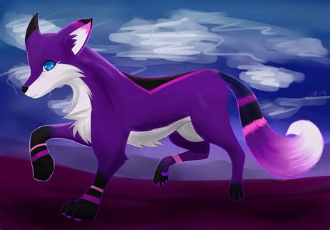 purple fox  graya  deviantart