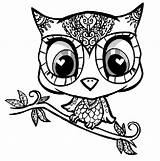 Owl Coloring Pages Cartoon Clip Cute Color Nocturnal Bird Arts Gif sketch template