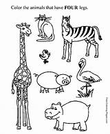 Legs Preschool Activity Four Worksheets Coloring Child Worksheet Pages Printable Activities Kids Animals Number Animal Color Kid Legged Print Sheets sketch template