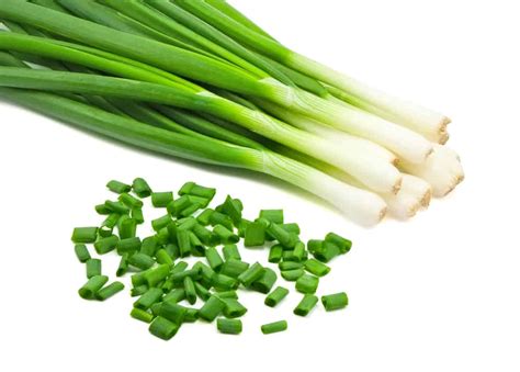 chives  green onions whats  difference preparedcookscom