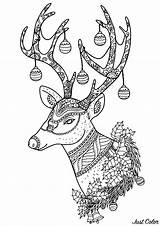 Christmas Reindeer Coloring Beautiful Pages Adult Patterns sketch template