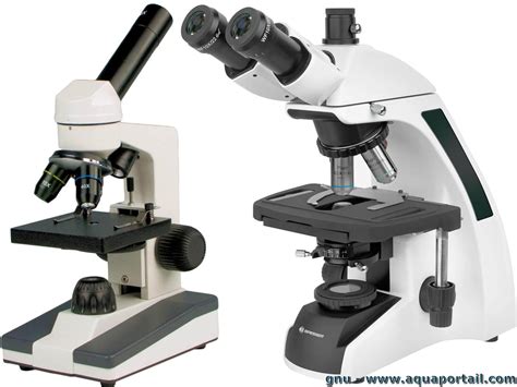 tueroeffnung beitragen kontinent types de microscope praeposition eis anzeige