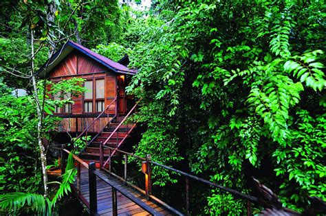 rainforest resorts thatre    world living asean