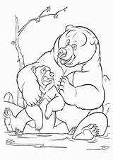 Oso Hermano Kleurplaten Colorir Malvorlagen Disneydibujos Desenhos Urso Irmao Animaatjes Malvorlagen1001 sketch template