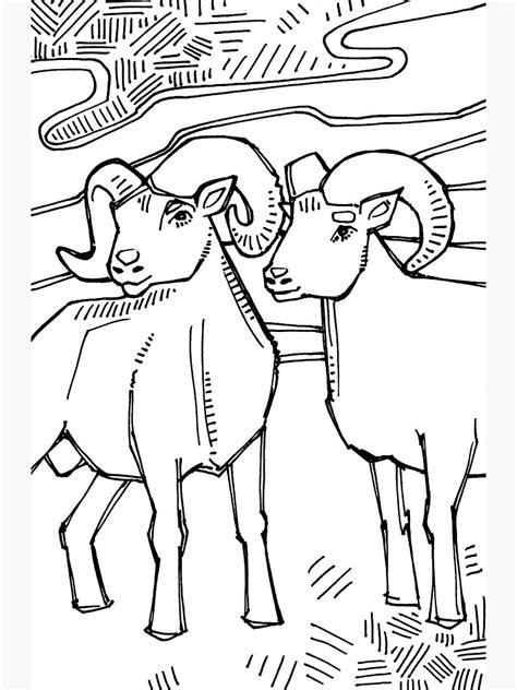 lamina metalica bighorn sheep coloring book page de gwennpaints