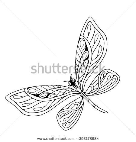 pin  bee butterfly illustration paintings