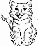 Coloring Cat Pages Tabby Realistic Cute Kitty Wild Printable Cartoon Color Drawing Cats Real Print Roaring Scary Meal Colouring Kids sketch template
