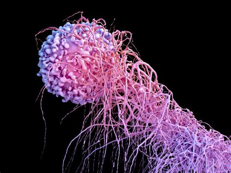 breakthrough cancer super drug      beat ebola  hiv science news express
