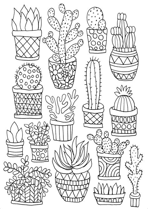 succulents portable adult coloring book  stress relieving designs