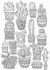 Succulents Coloring Cactus Plant Adult Book Choose Board Easy Para Drawing sketch template