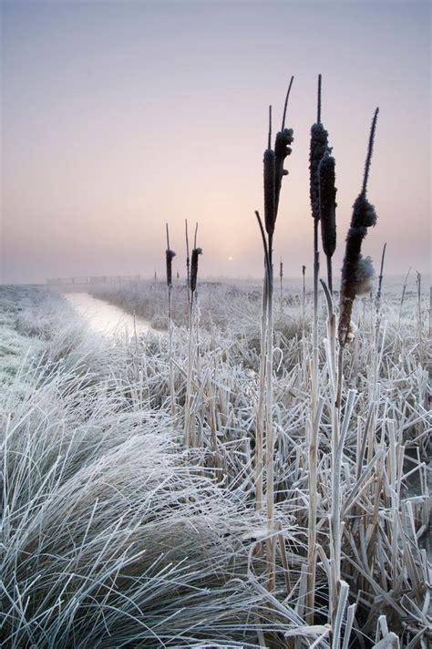 winter sunrise over marshland robert canis purephoto