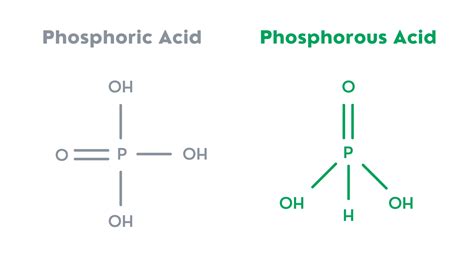 phosphorous acid true north foliar