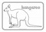 Australian Animals Colouring Sheets Pages Coloring Sparklebox sketch template