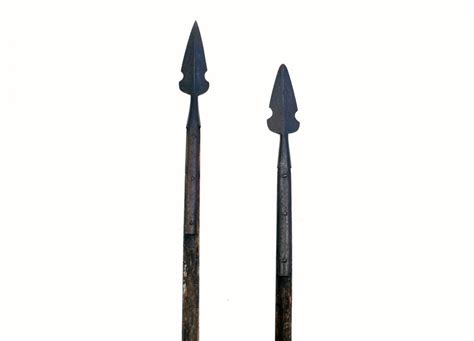 pair   century pikes