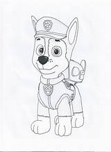 Patrol Paw Spy Nickelodeon Draw Skye Drawingnow Everest Zuma sketch template