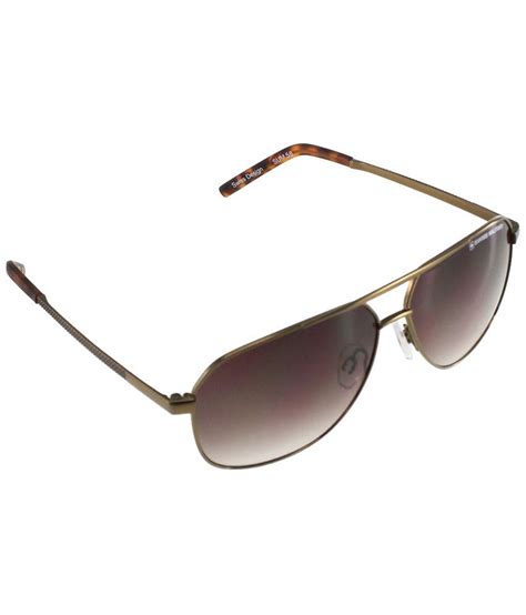 Swiss Military Brown Aviator Sunglasses Sum58 Buy