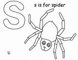 Busy Spider Very Coloring Pages Popular sketch template