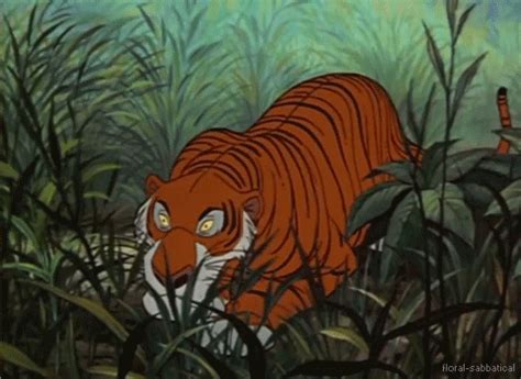 shere khan gifs find share  giphy