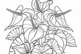 Houseplants 30seconds Lovers Mom Only sketch template