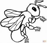 Biene Bienen Ausmalen Ausdrucken Malvorlagen Kostenlos Coloring Abeja Ausmalbild Colorare Dibujos Disegni Bees Kinderbilder sketch template