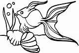 Goldfish Fish Kolorowanki Rybki Coloringme sketch template