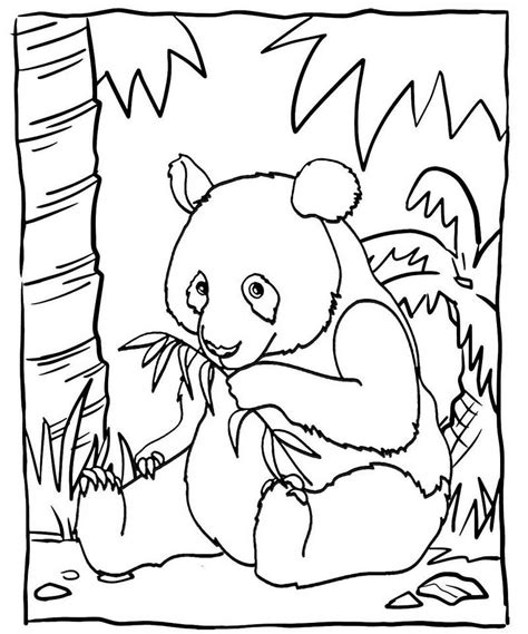 cute baby panda eating bamboo coloring sheet mitraland