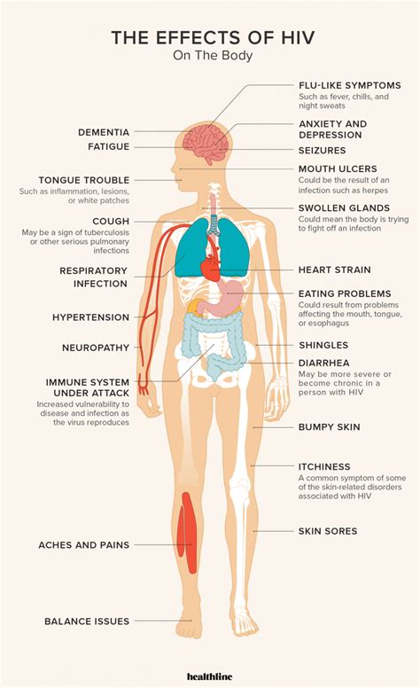 effects  hiv   body immune system