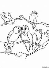 Coloring Pages Birds Tree sketch template