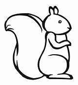 Squirrel Coloring Pages Cute Outline Template Pattern Drawing Chipmunk Printable Kids Clipart Draw Simple Templates Clip Print Color Marshmallow Scaredy sketch template