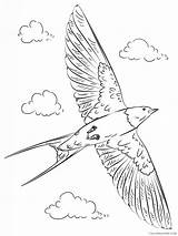 Coloring4free Swallows sketch template