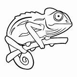 Chameleon Coloring Vector Clipart Outline Pages Cameleon Printable Drawing Illustration Stock Camouflage Tree Clip Chameleons Tattoo Drawings Cliparts Depositphotos Bunch sketch template