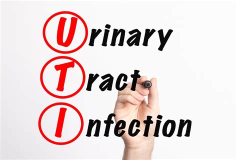 urinary tract infection   questions answered emottawa blog