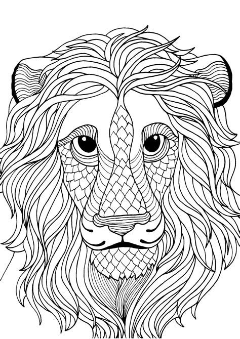 lion adult colouring page colouring  sheets art craft art