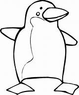 Pinguin Penguin Colorat Pinguino Frig Desene Planse Imagini Idibujos Pinguinos Clopotel Puffles sketch template
