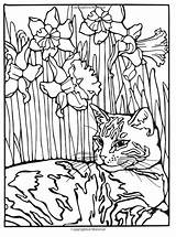 Coloring Amazon Cats Designs Ruth Heller Pages sketch template