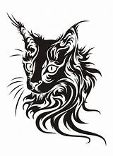 Tribal Tattoo Coon Cats Katzen Katze Chat Tatouage Maincoon Contrast Schwarze Arte sketch template