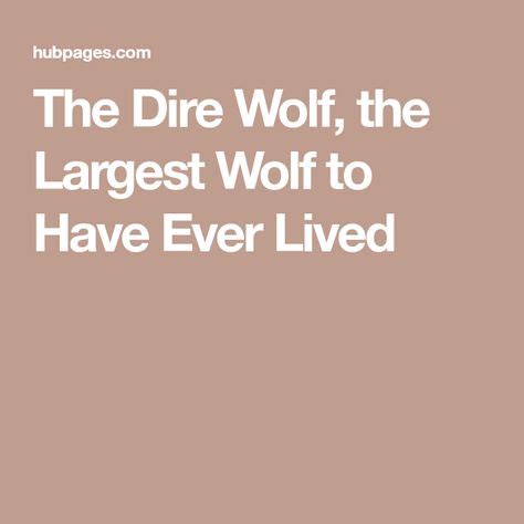 dire wolf  largest wolf    lived dire wolf largest wolf wolf