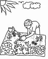 Coloring Pages Seed Gardening Garden Planting Flower Colouring Seeds Kids Flowers Plant Printable Color Template Drawing Raised Sheets Vegetable Jug sketch template