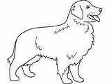 Coloring Pages Dogs Dog Colouring Animal Print Retriever Golden Puppy Kids sketch template